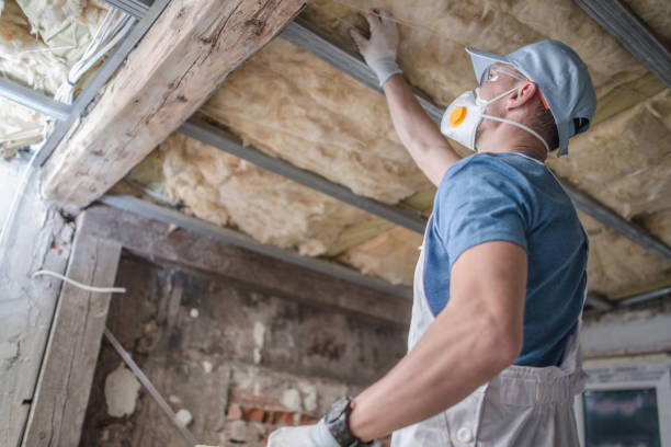 Professional Insulation Contractor in MT